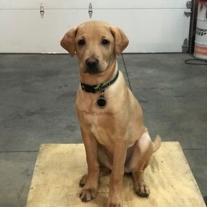 Meet your Posher, Danielle